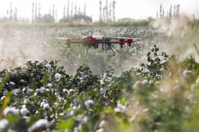 Sustainable Agriculture Drone Technology: Key Role & Benefits